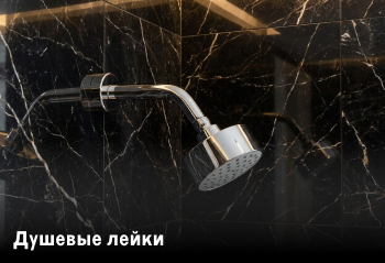 Душевые лейки